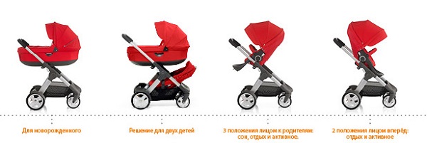 Stokke Crusi Lapsi