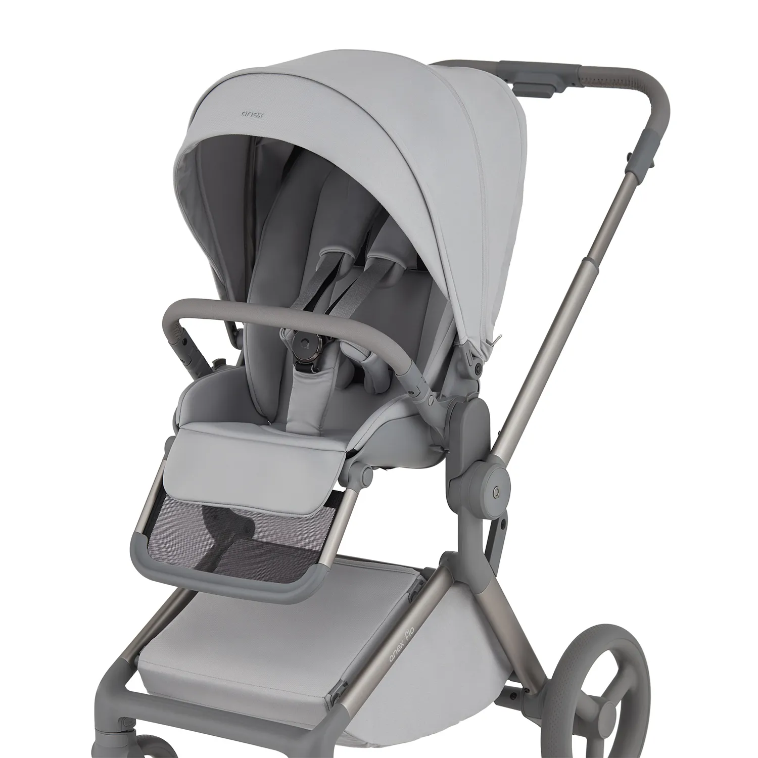 Коляска 2 в 1 Anex Flo