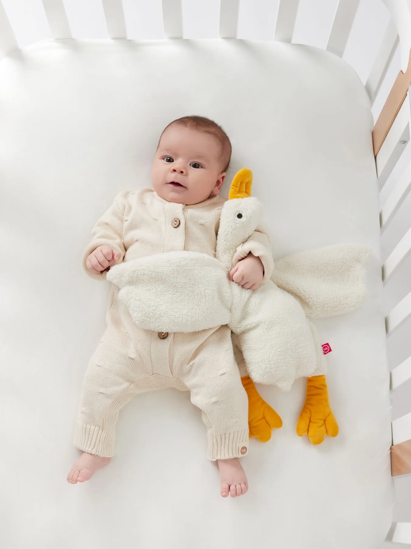 Игрушка Happy Baby мягкая Гусь 330716