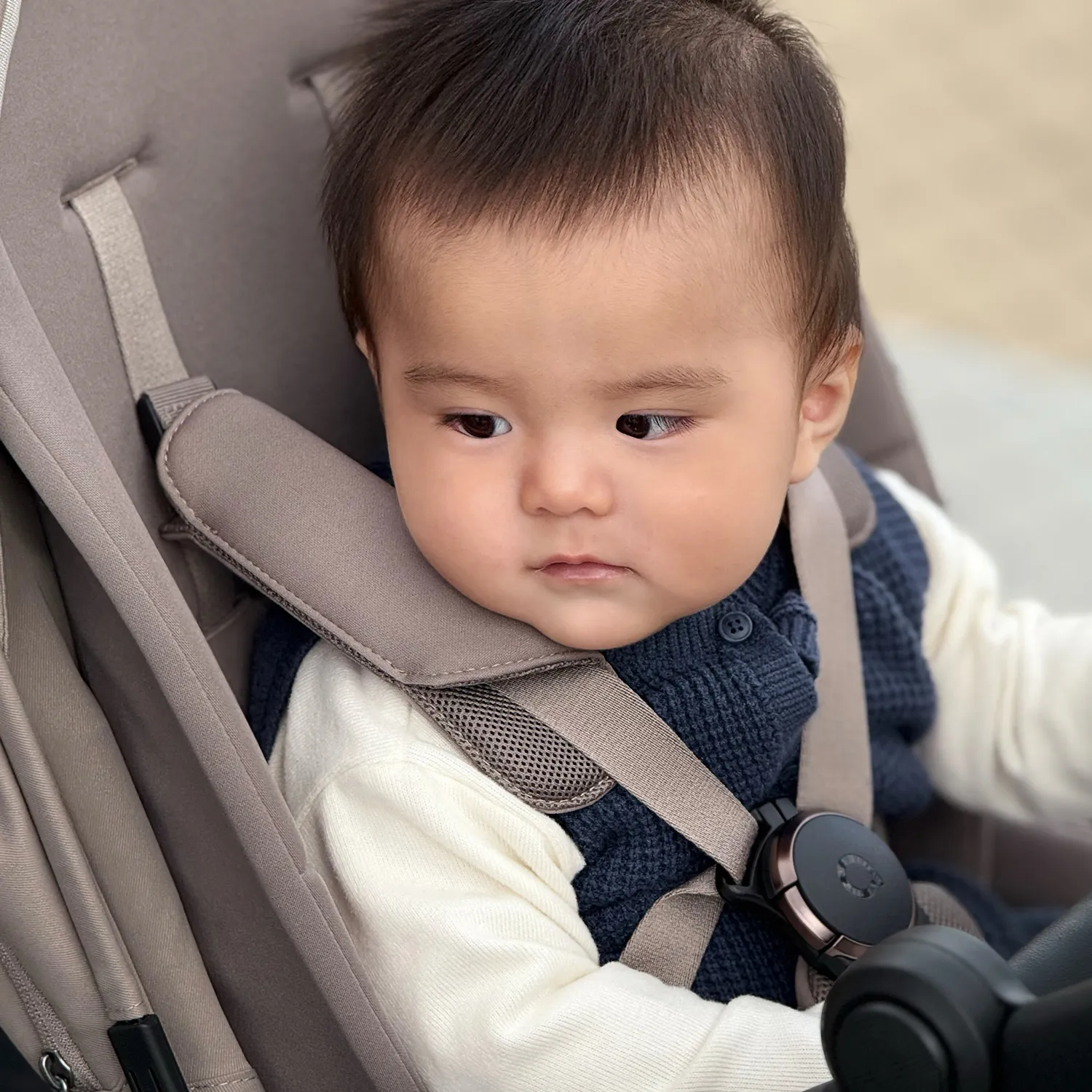 Коляска прогулочная Anex Modu