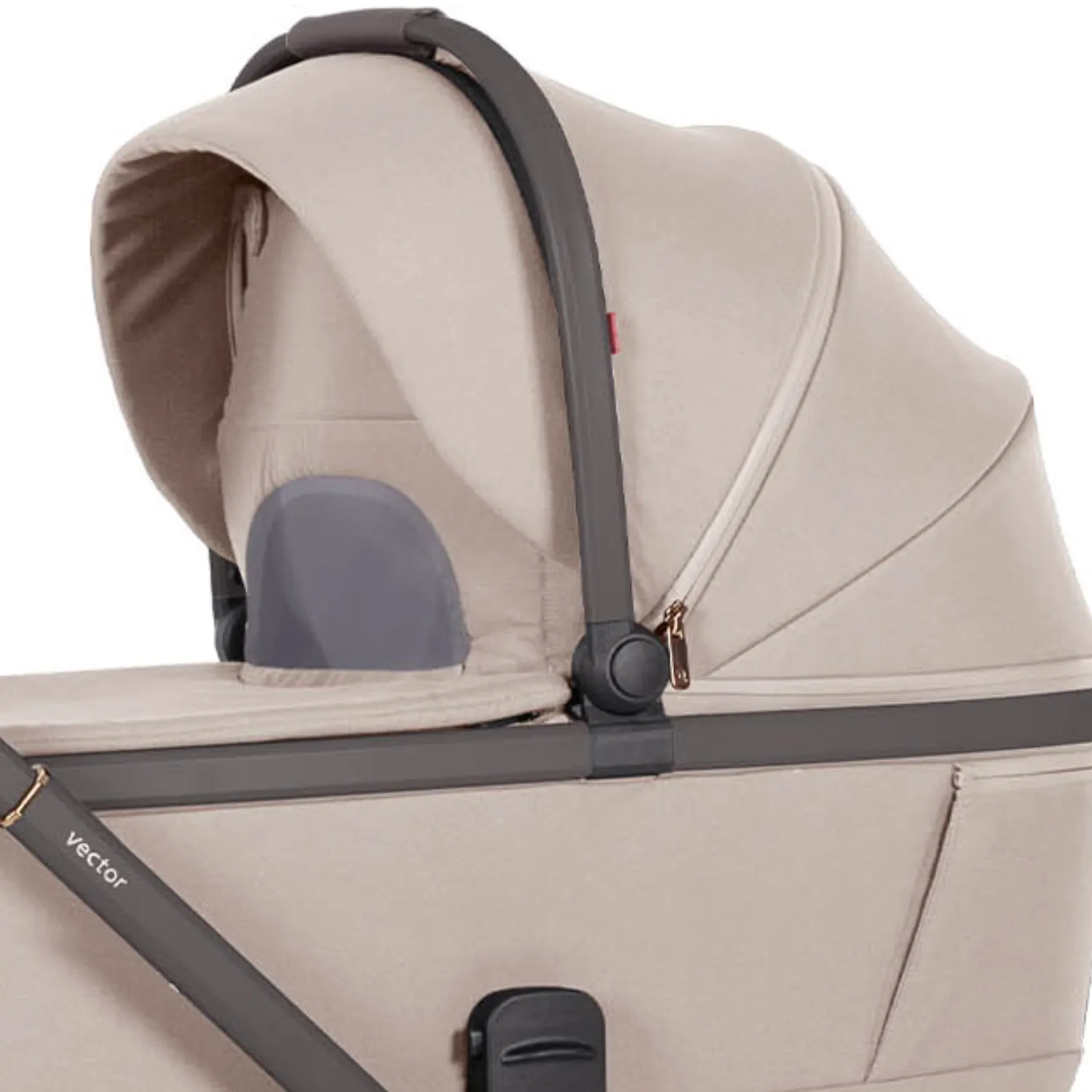 Коляска 2 в 1 Carrello Vector CRL-6552