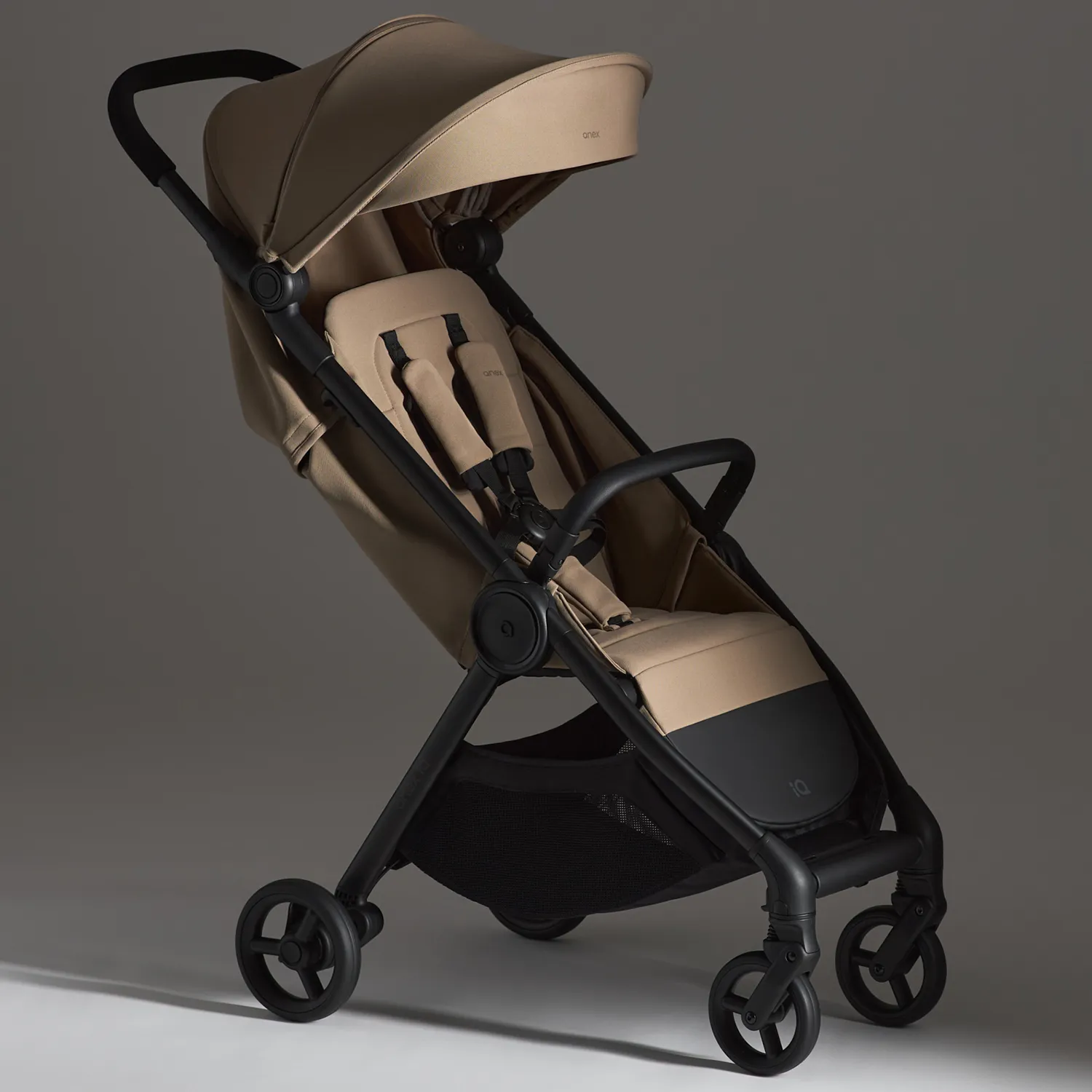 Коляска 2 в 1 Anex iQ Basic 2026
