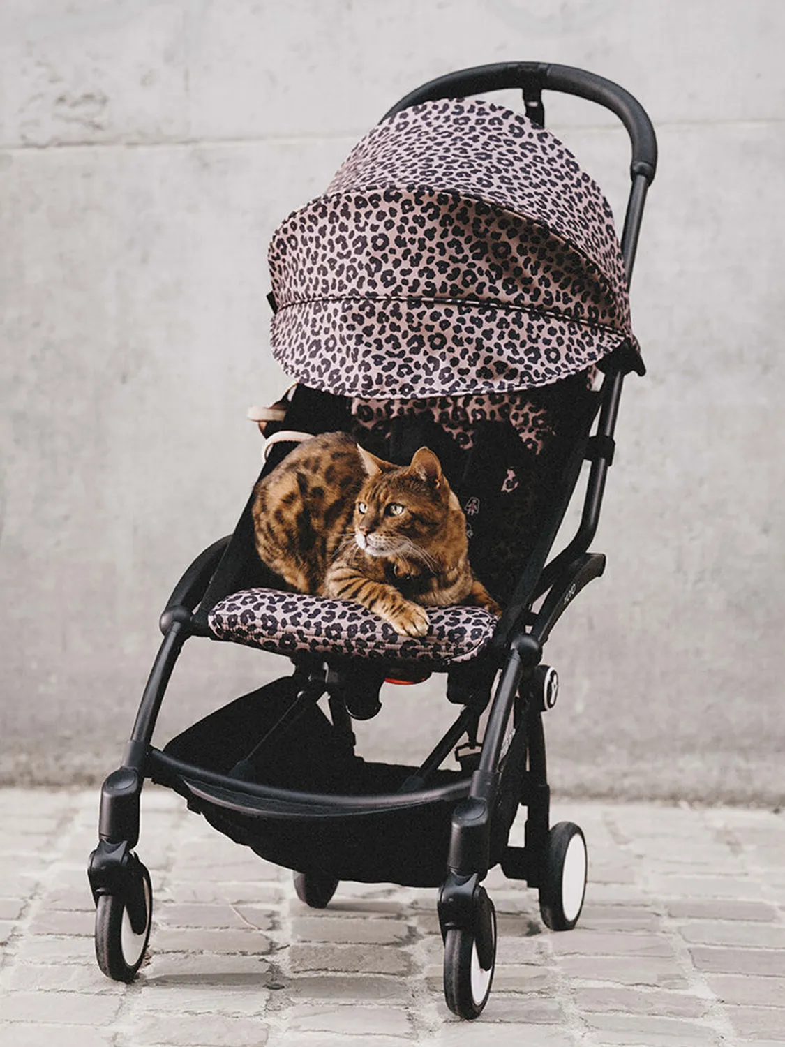 Коляска прогулочная Stokke/Babyzen YOYO³ рама белая