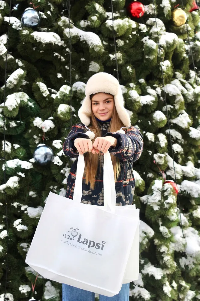 Сумка Lapsi 45х34х15 см