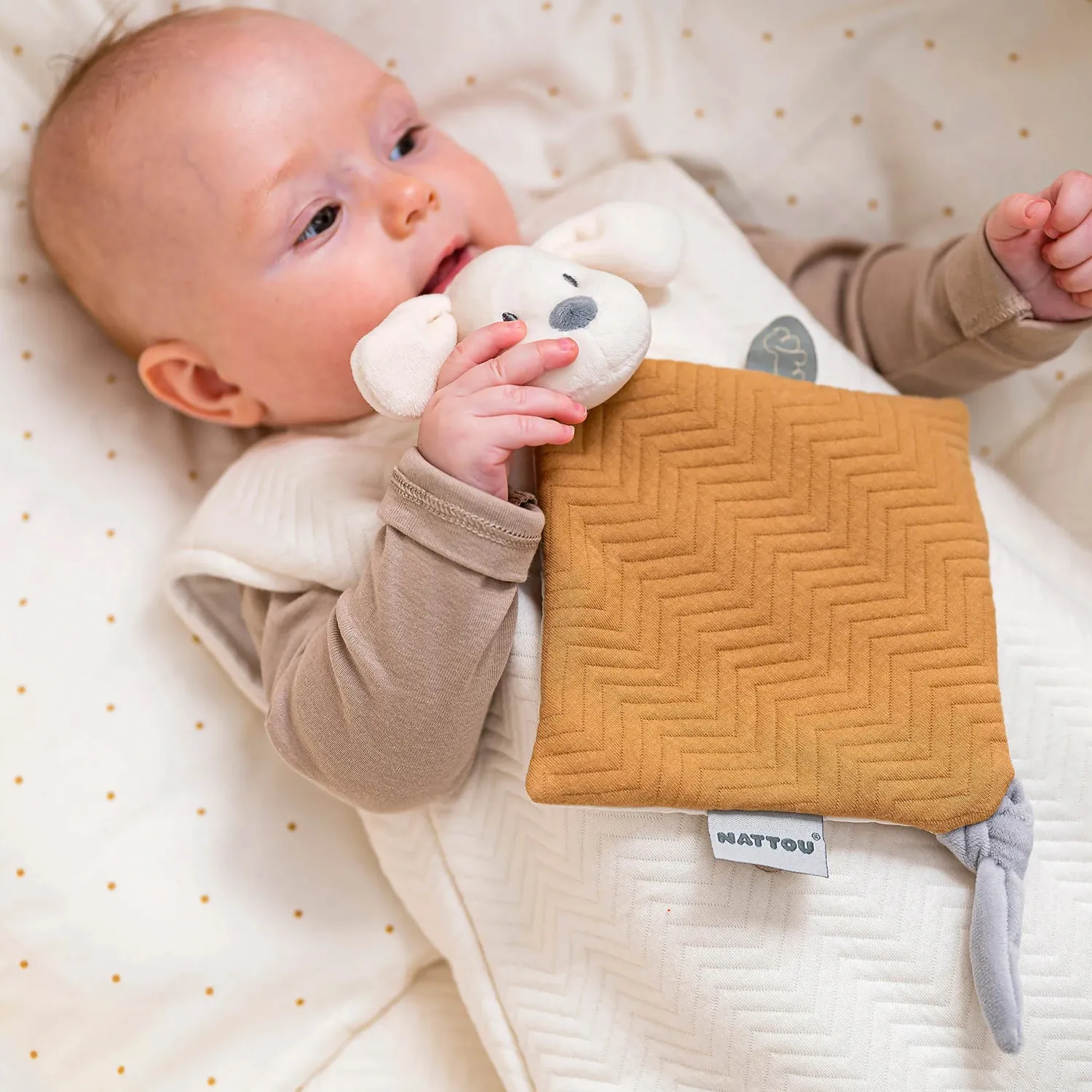 Игрушка мягкая Nattou Doudou CHARLIE Собачка caramel 388139