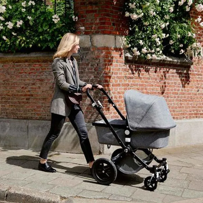Bugaboo: Cameleon или Buffalo?