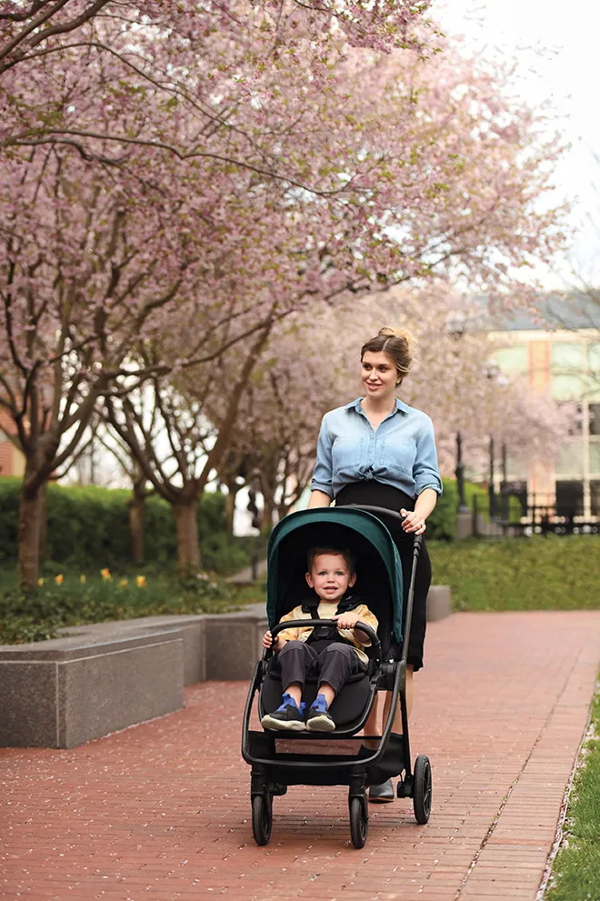 Коляска прогулочная Nuna TRIV NEXT