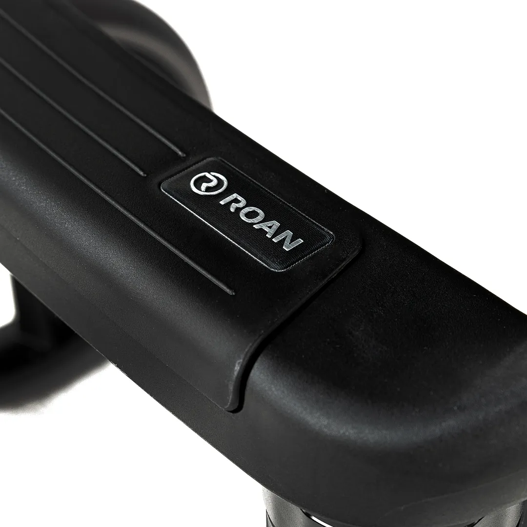 Коляска 2 в 1 ROAN Sol Vintage