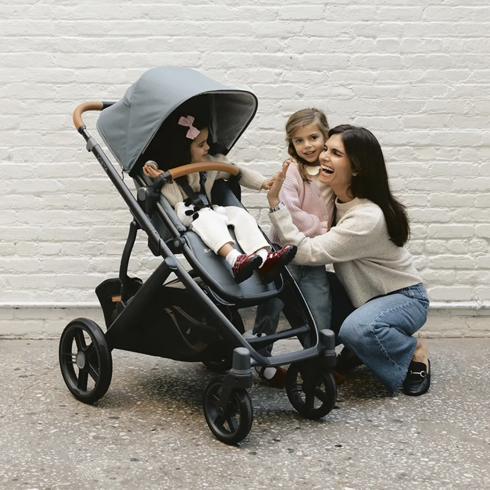Коляска 2 в 1 UPPAbaby Vista V3