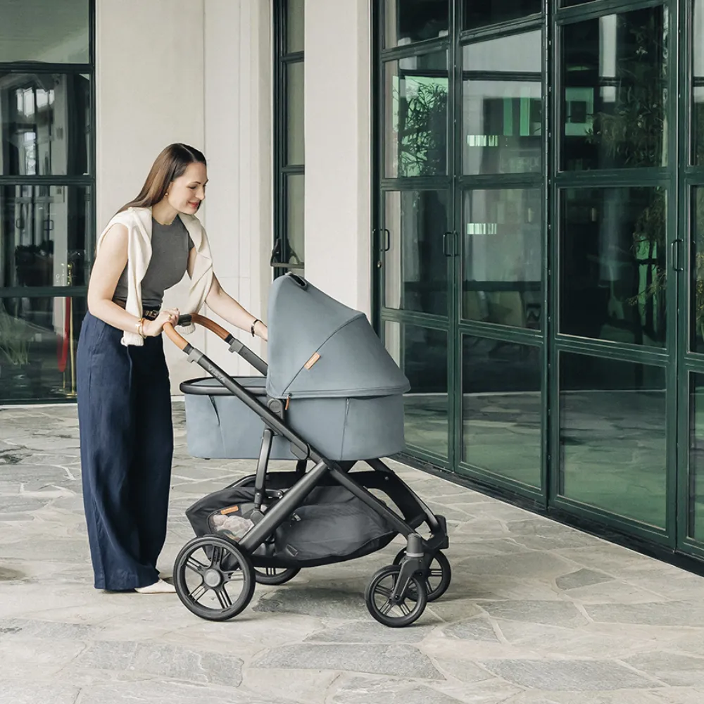 Коляска 2 в 1 UPPAbaby Vista V3