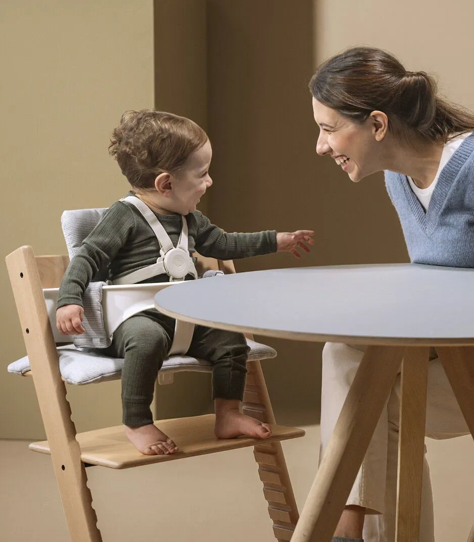 Ремни безопасности Harness 5-точечные для стульчика Stokke Tripp Trapp 2024