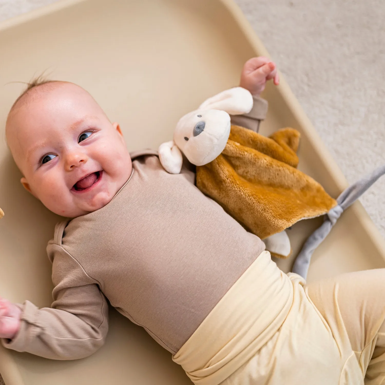 Игрушка мягкая Nattou Doudou CHARLIE Собачка caramel 388139