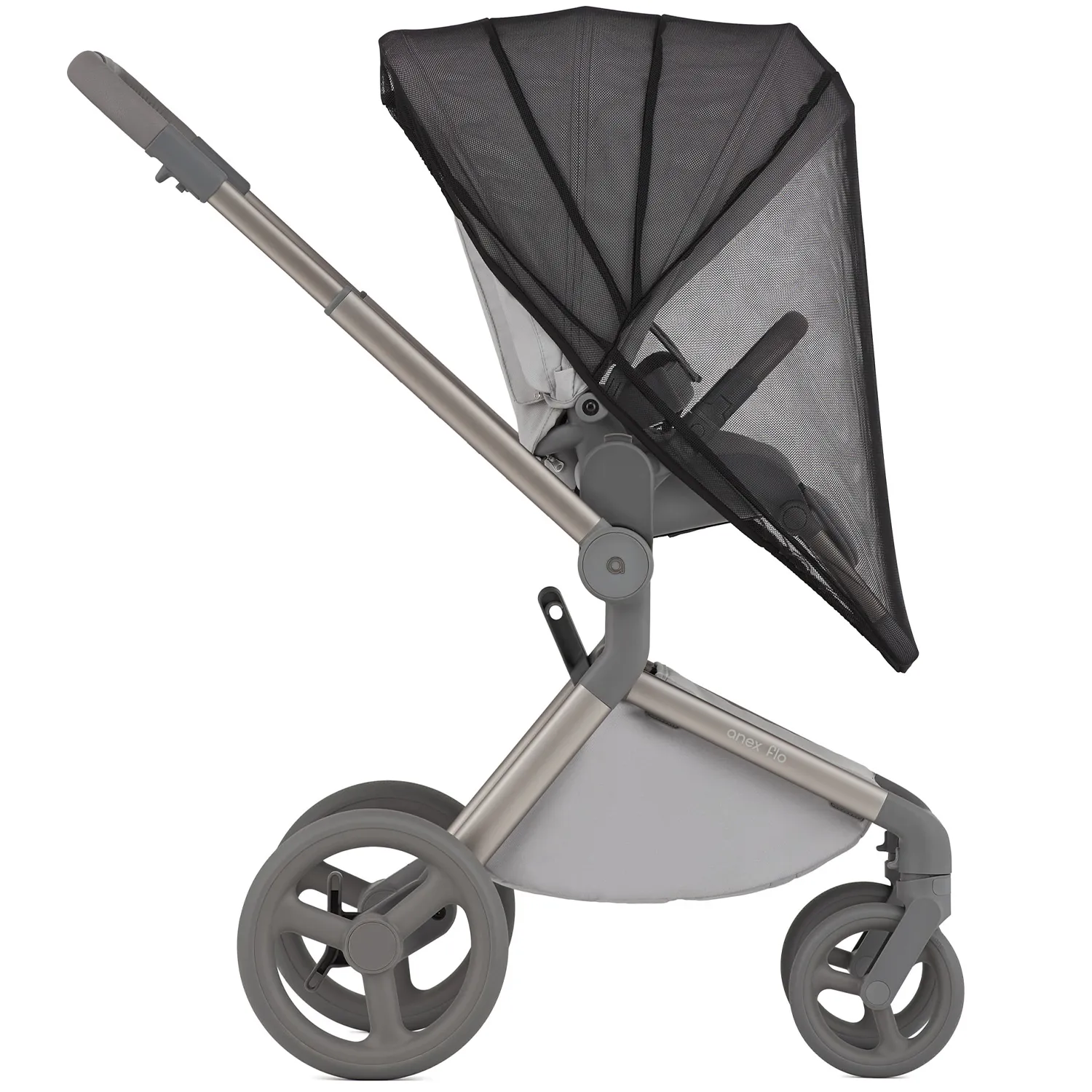 Коляска 2 в 1 Anex Flo