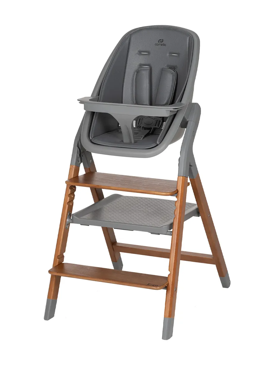 Стульчик для кормления CARRELLO Ergo CRL-16701