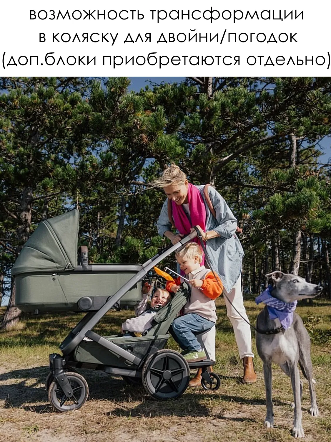 Коляска 2 в 1 Joolz GEO5