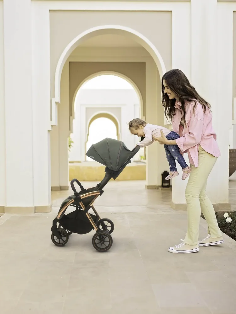 Коляска прогулочная Leclerc Influencer XL