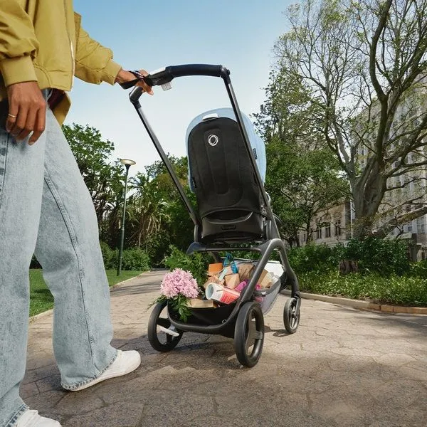 Коляска прогулочная Bugaboo Dragonfly