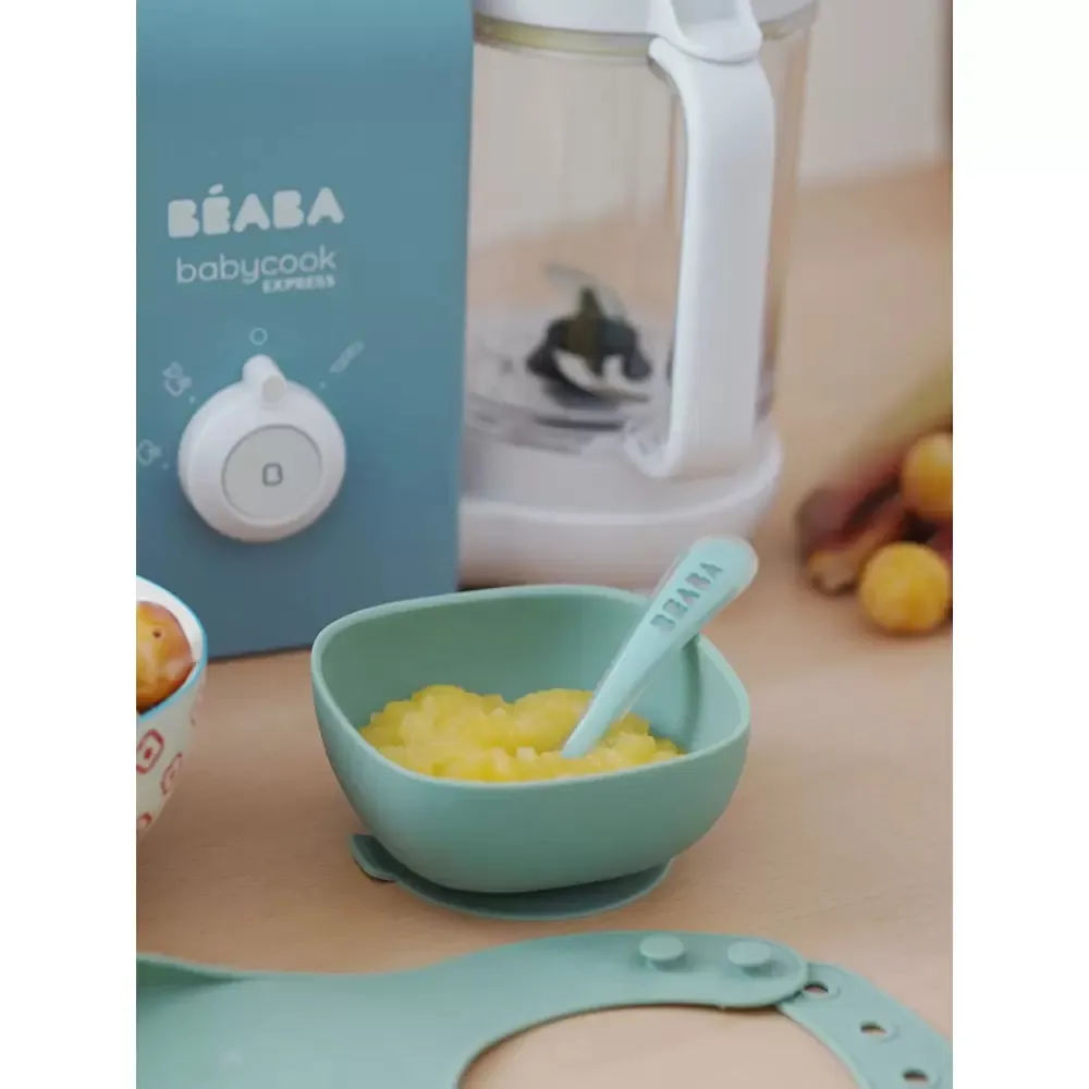 Пароварка-блендер для детского питания Beaba Babycook Express