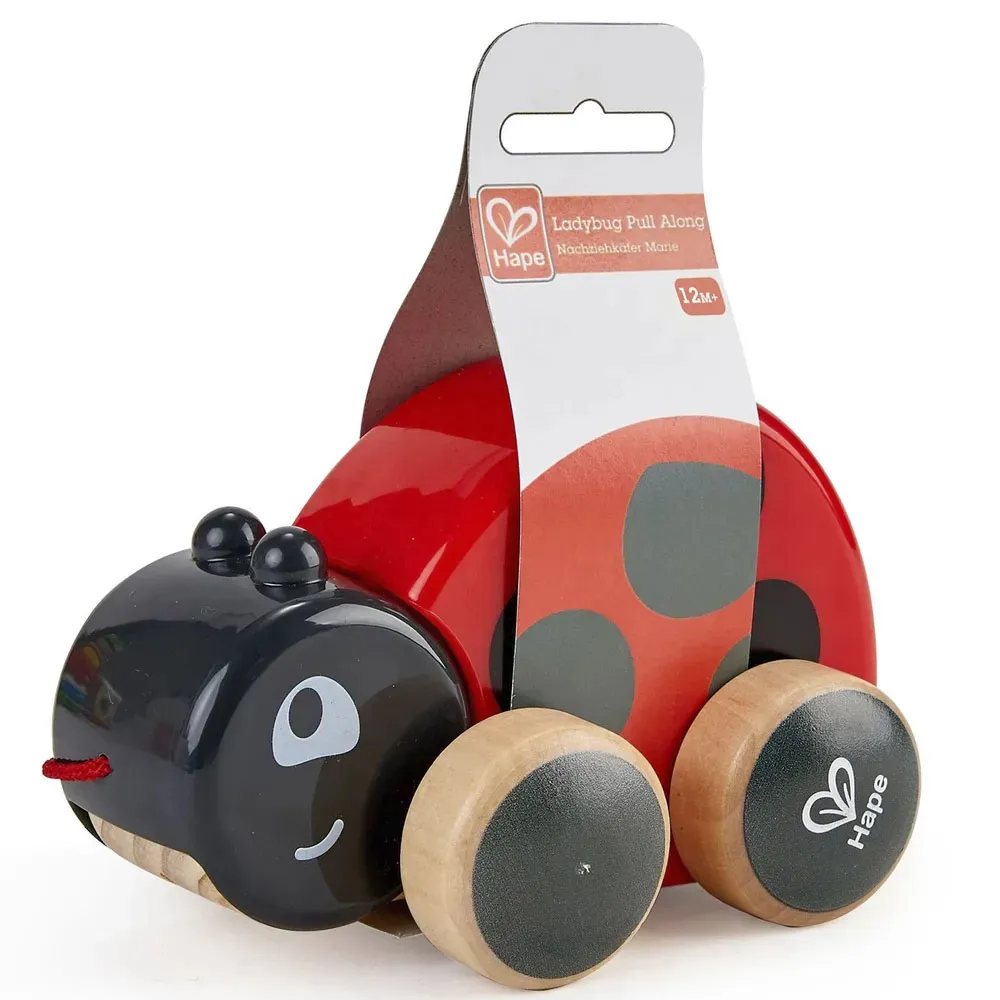 Игрушка-каталка HAPE «Божья коровка» E0362_HP