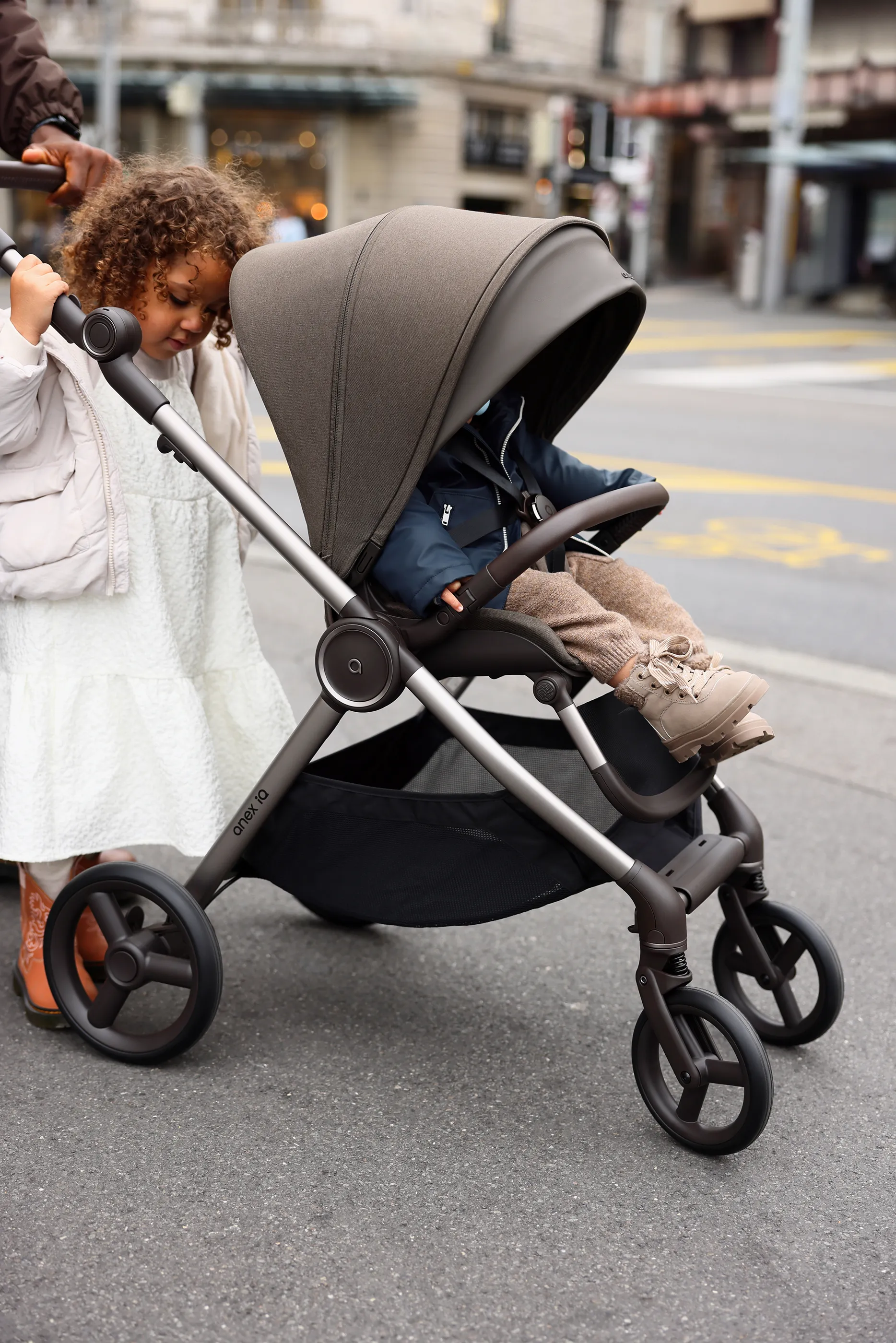 Коляска 2 в 1 Anex iQ Premium 2025