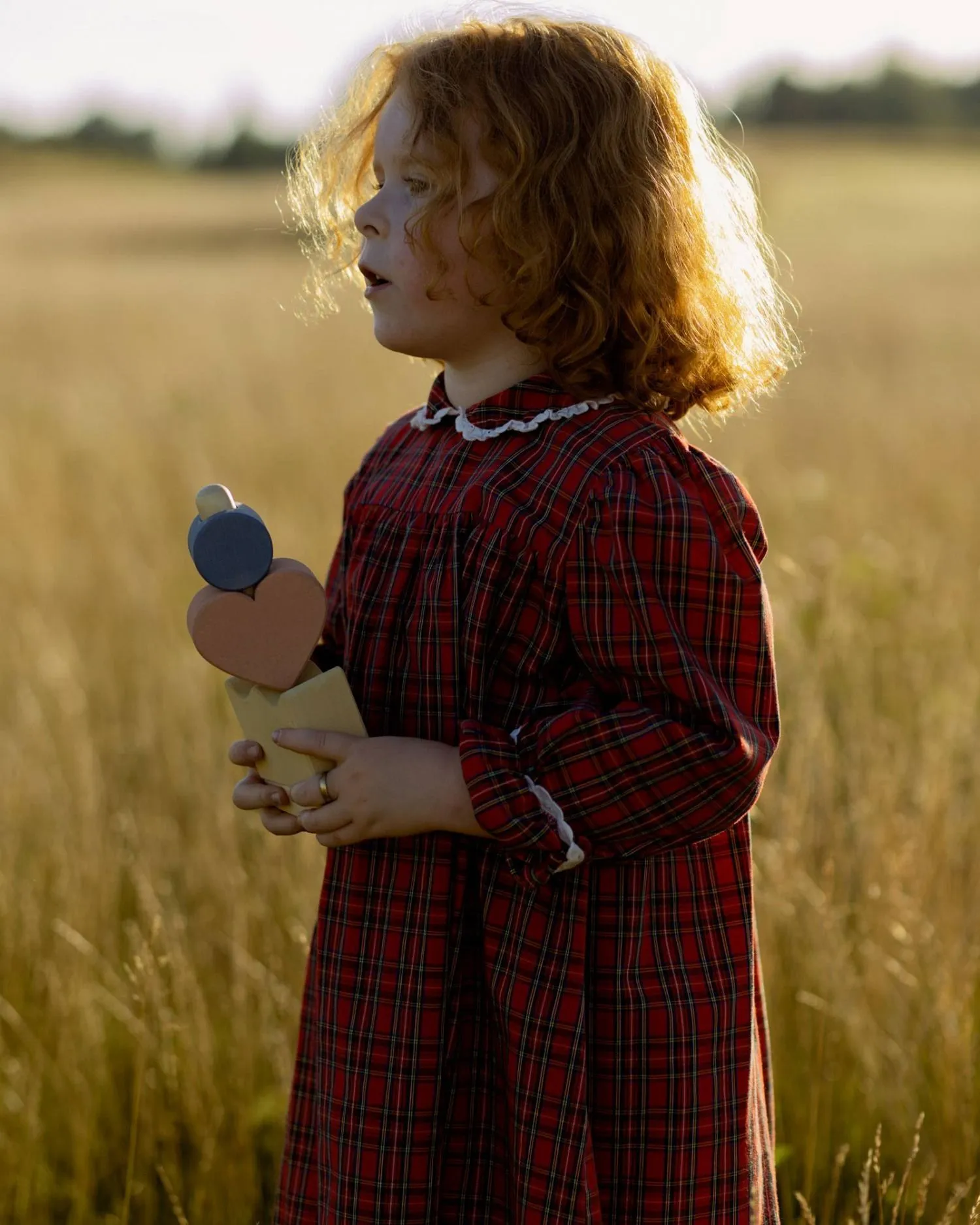 Деревянная игрушка-пирамидка "Корона" Радуга Грез