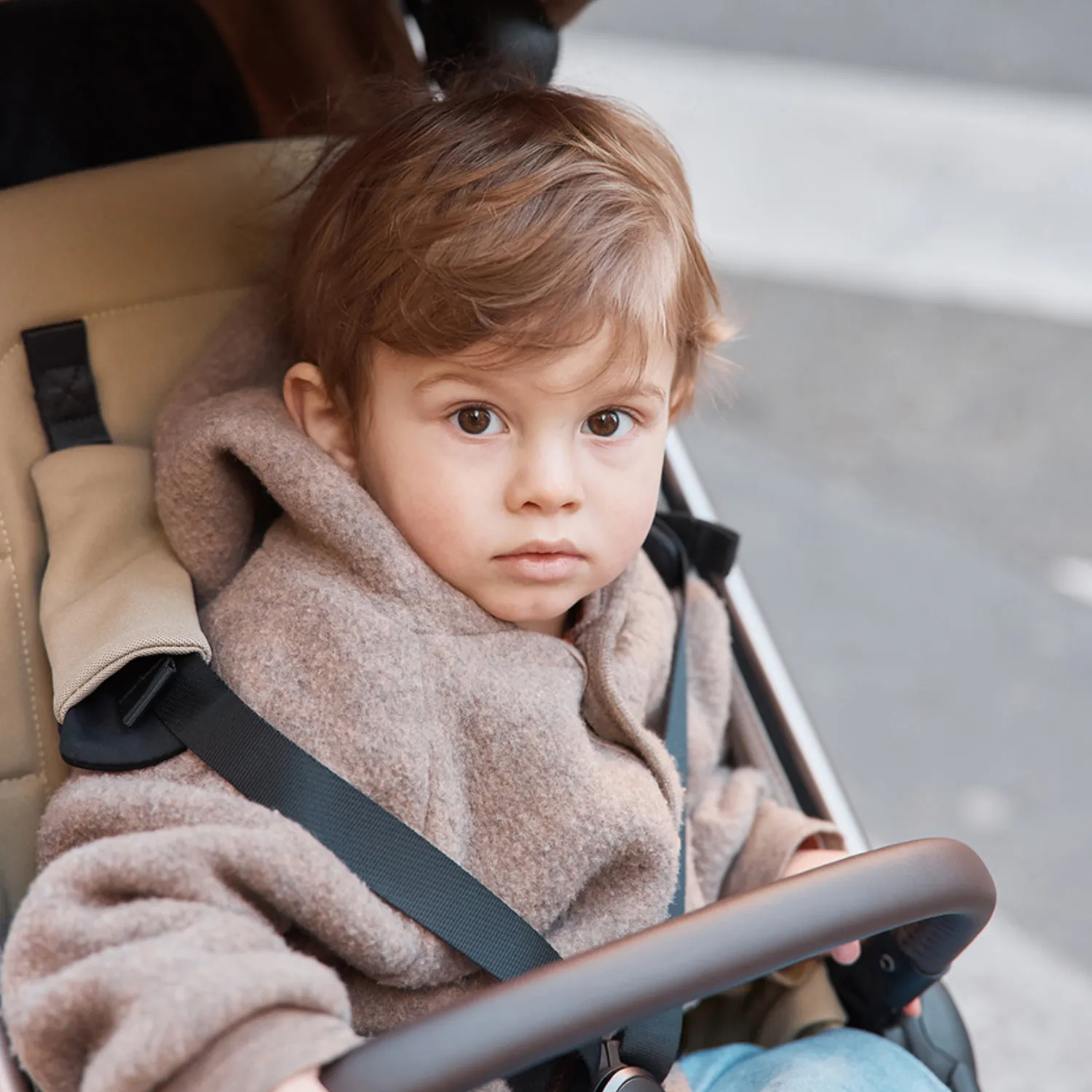 Коляска 2 в 1 Anex iQ Premium 2025