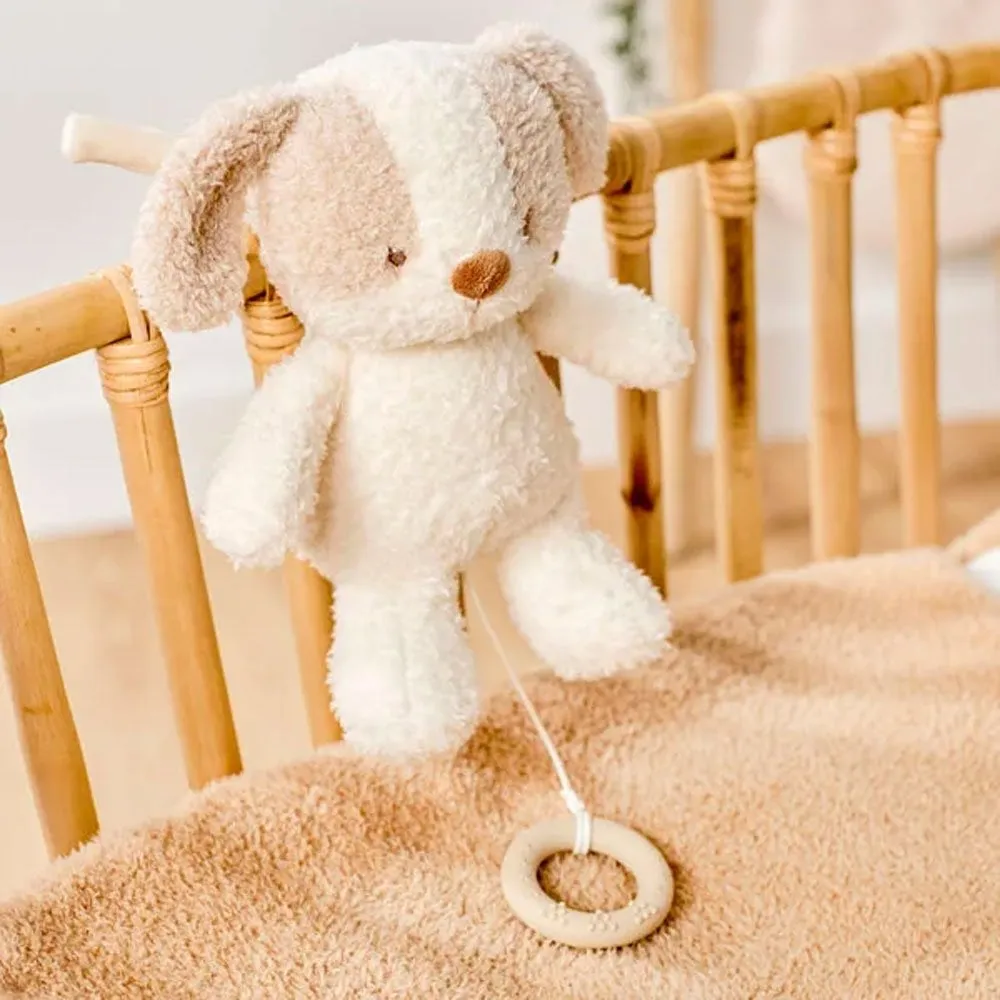 Игрушка мягкая Nattou Musical Soft toy TEDDY Собачка музыкальная 856362