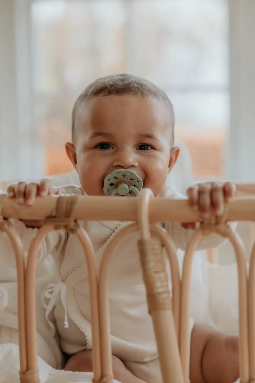 Пустышка латексная BIBS Boheme 6+ месяцев