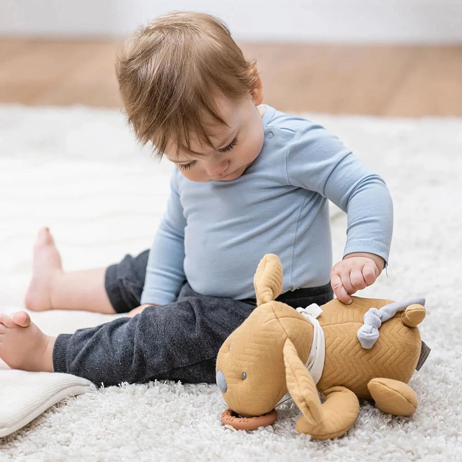 Игрушка мягкая Nattou Doudou CHARLIE Собачка caramel 388139