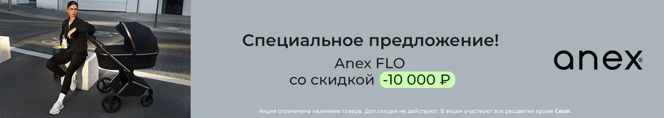 Коляска 2 в 1 Anex Flo со скидкой 10000 рублей!