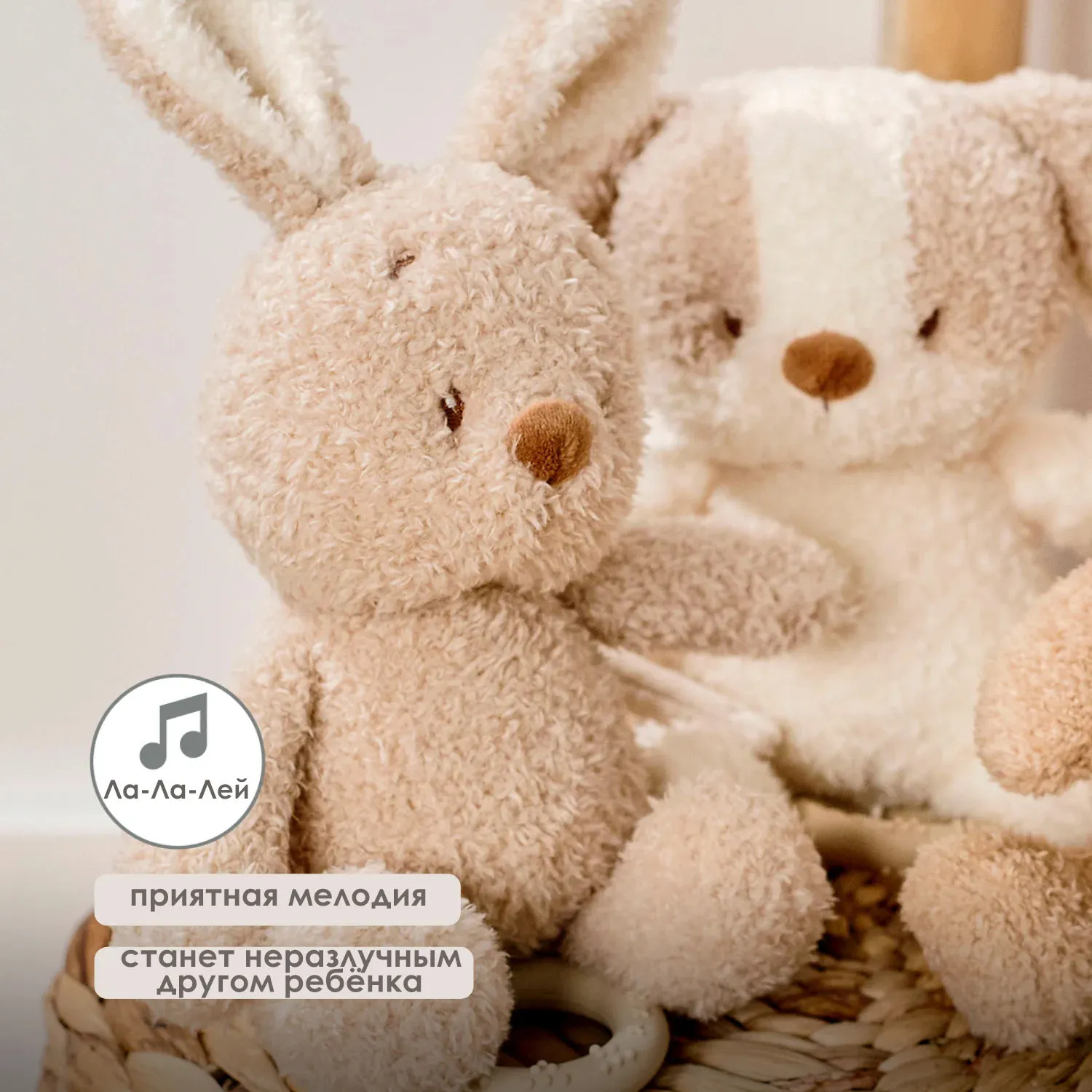 Игрушка мягкая Nattou Musical Soft toy TEDDY Кролик музыкальная 856386