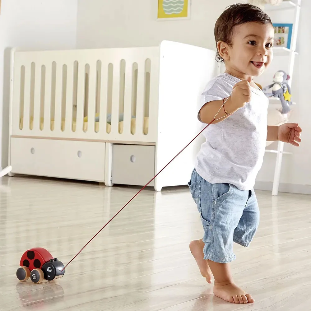 Игрушка-каталка HAPE «Божья коровка» E0362_HP