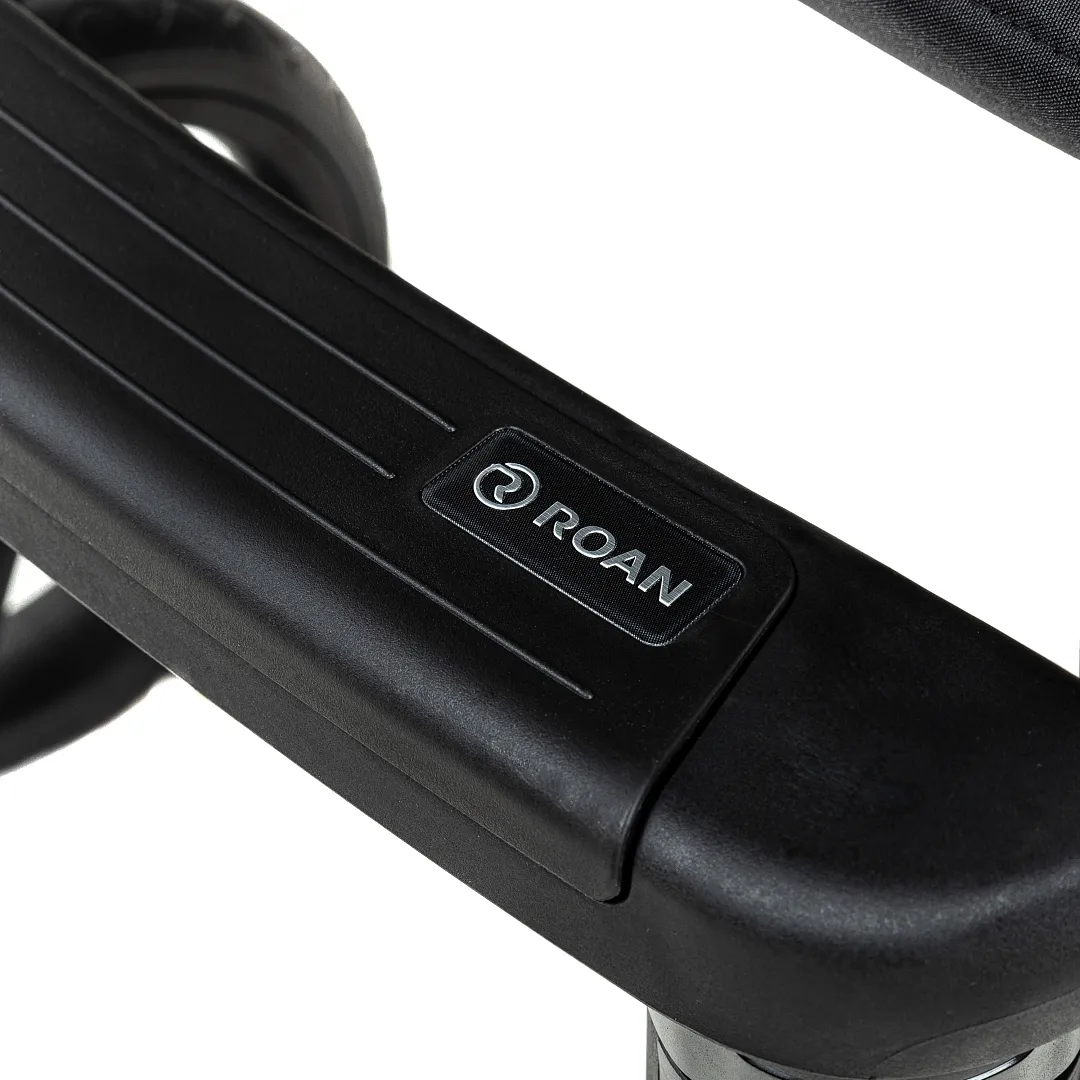 Коляска 2 в 1 Roan BASS Next 2.0