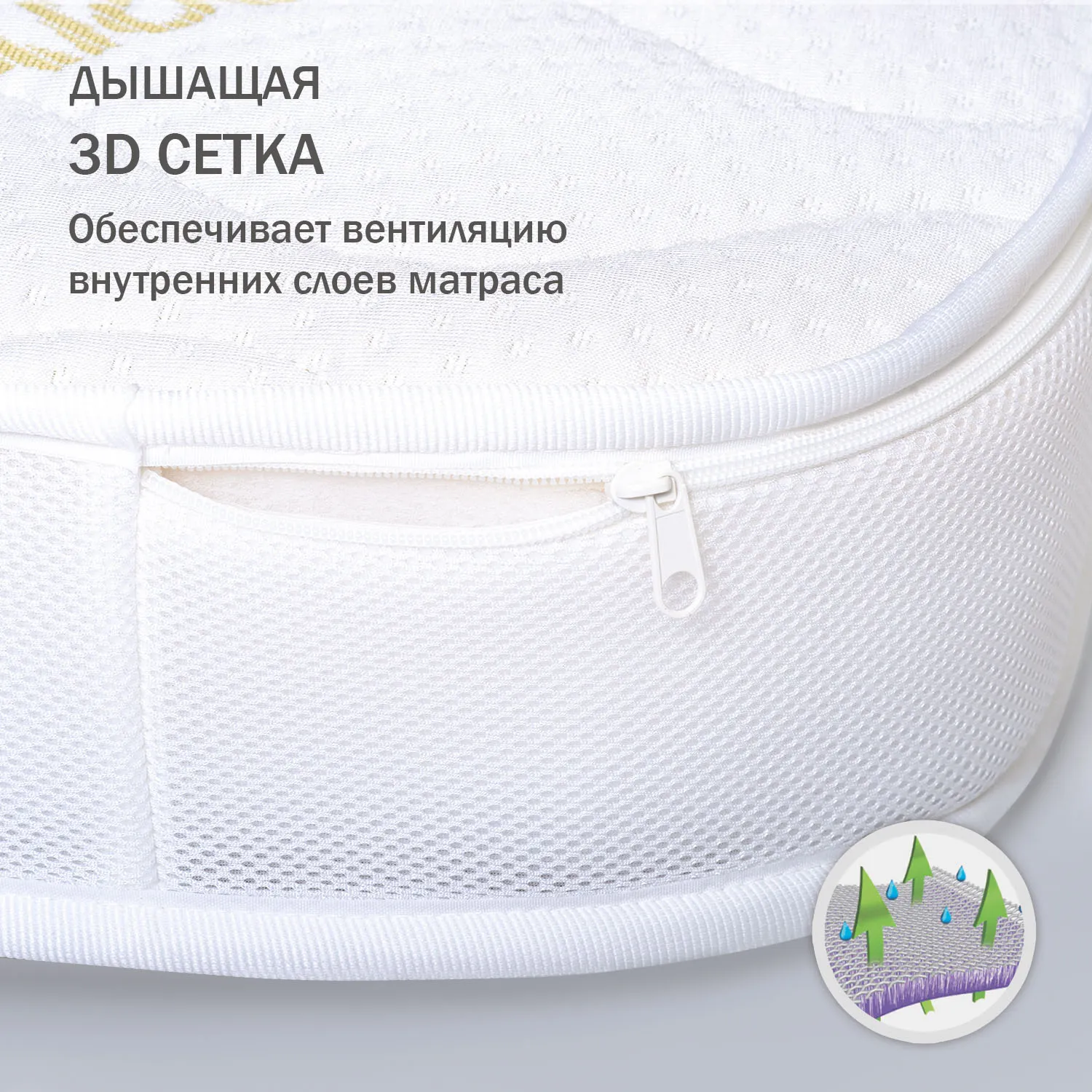 Матрас ANTEMI Terra 100х70х12 см ANTR10070