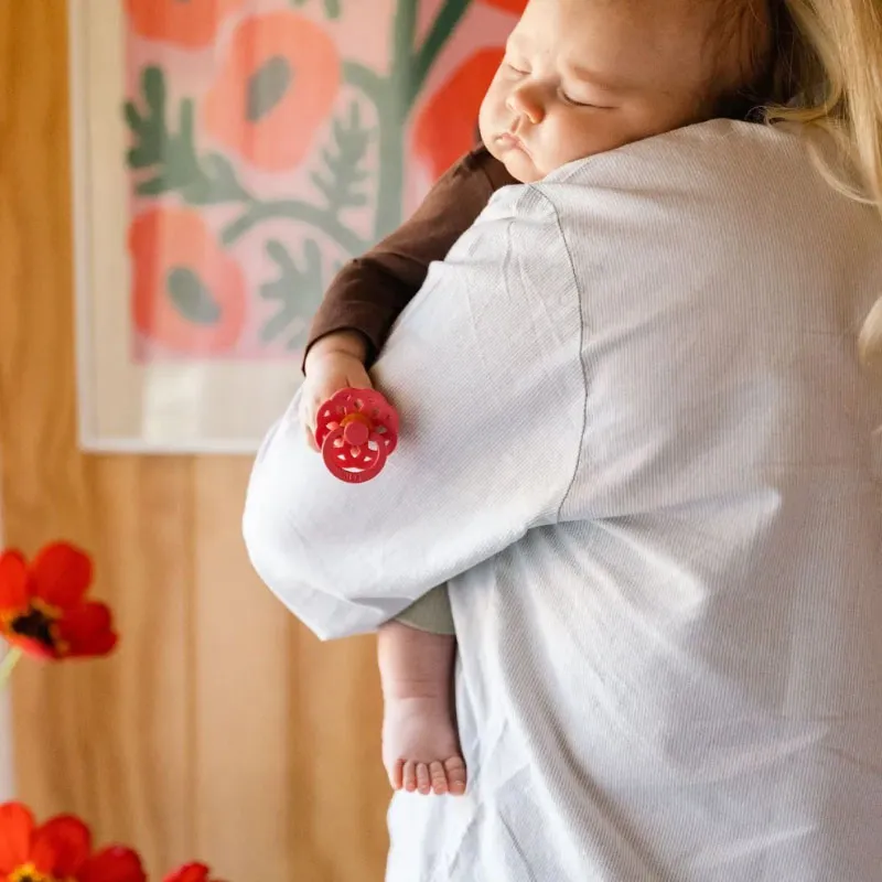 Пустышка латексная BIBS Boheme 0+ месяцев