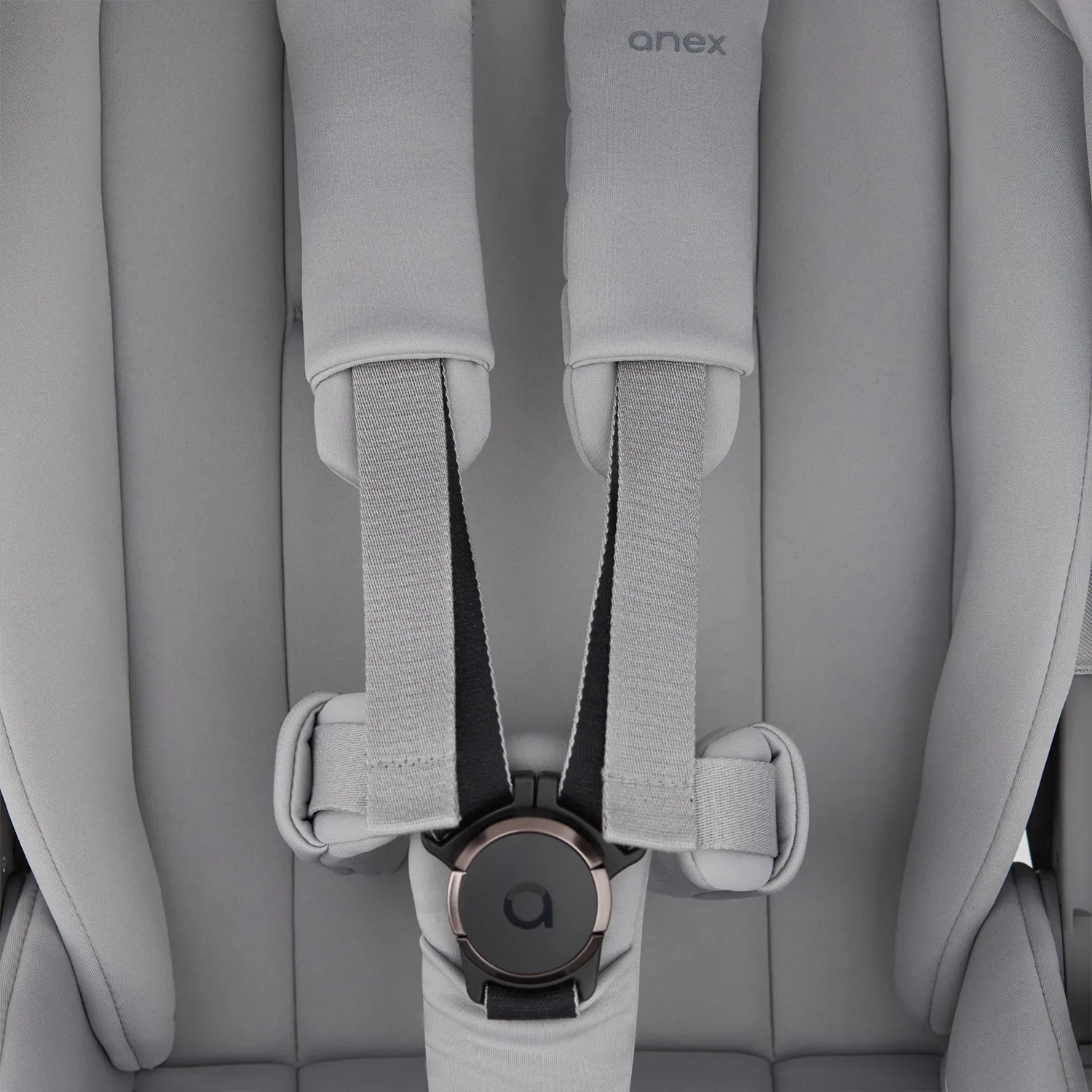 Коляска 2 в 1 Anex Flo