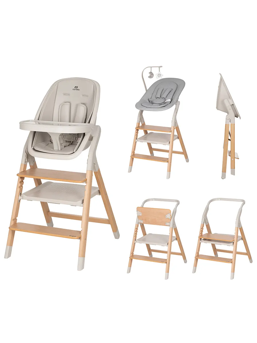 Стульчик для кормления CARRELLO Ergo CRL-16701