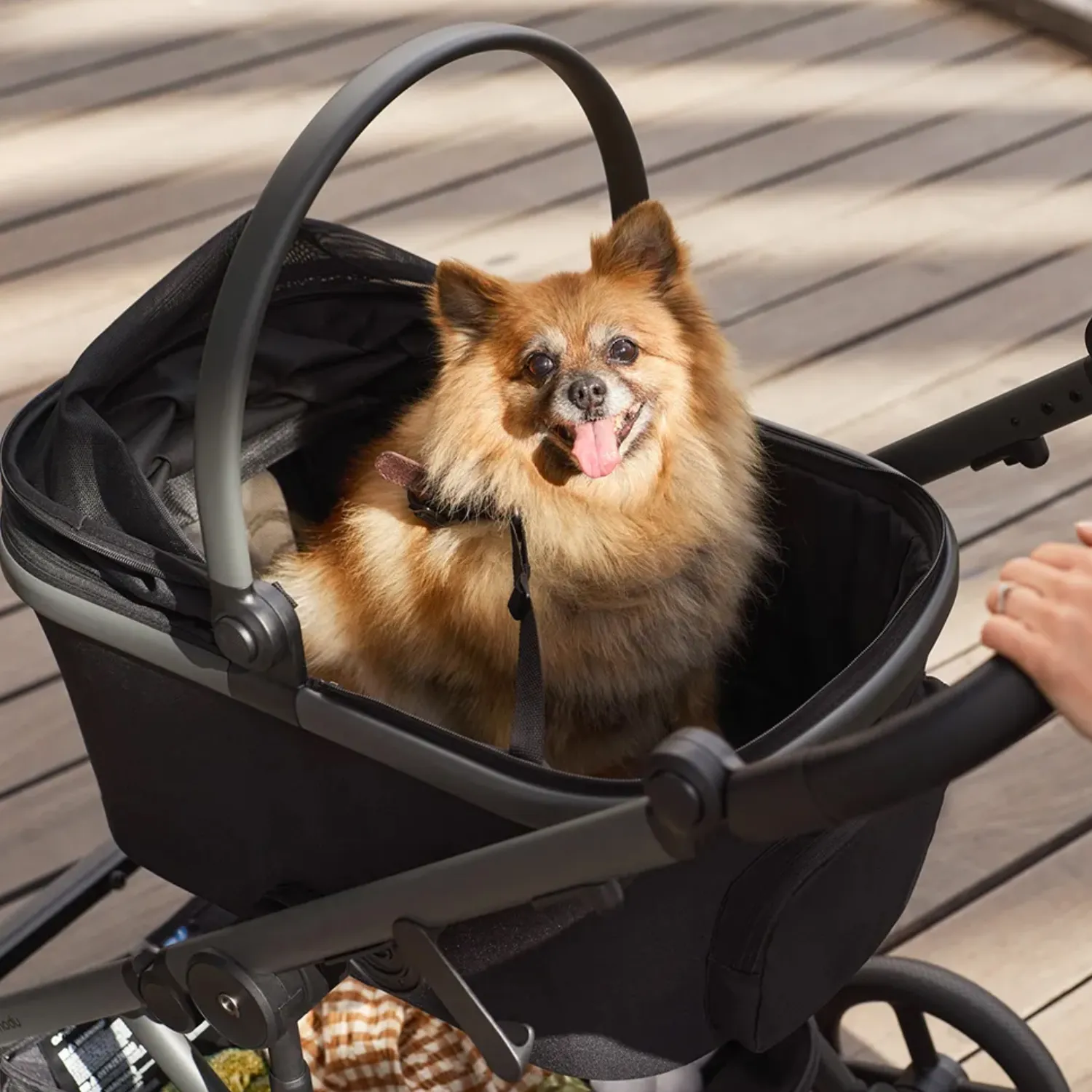Переноска для питомца к коляске Anex Modu