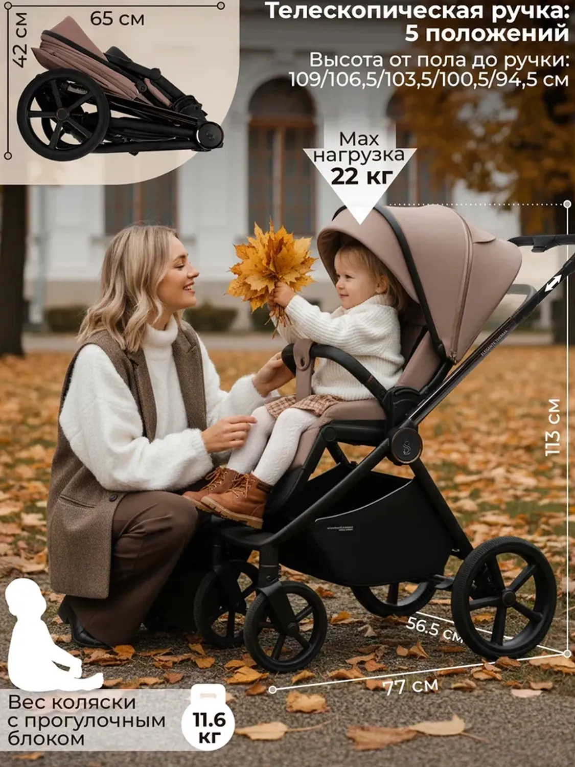Коляска 2 в 1 SBL /Sweet Baby Elegante Therma