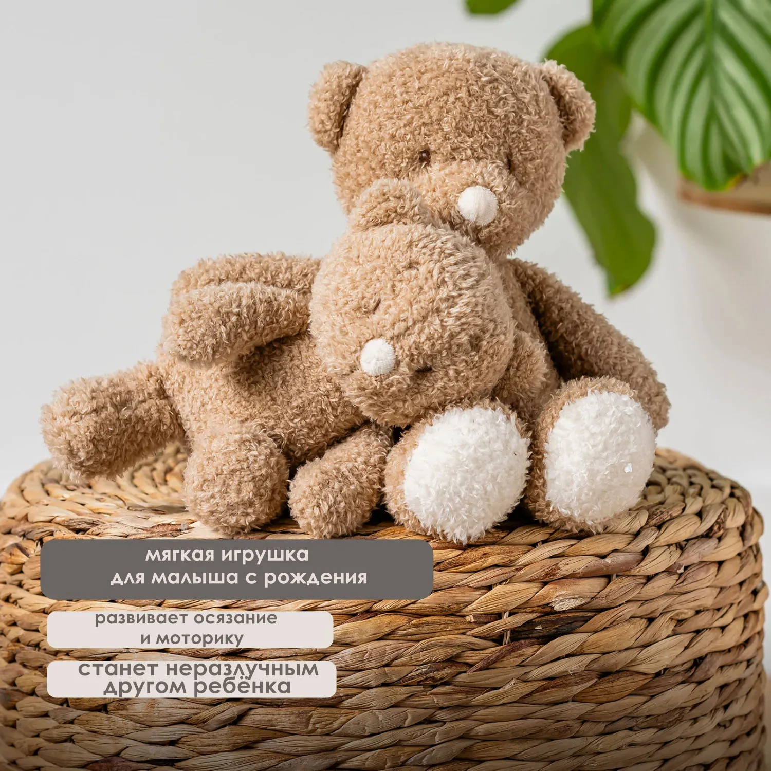Игрушка мягкая Nattou Soft toy TEDDY Мишка 856324