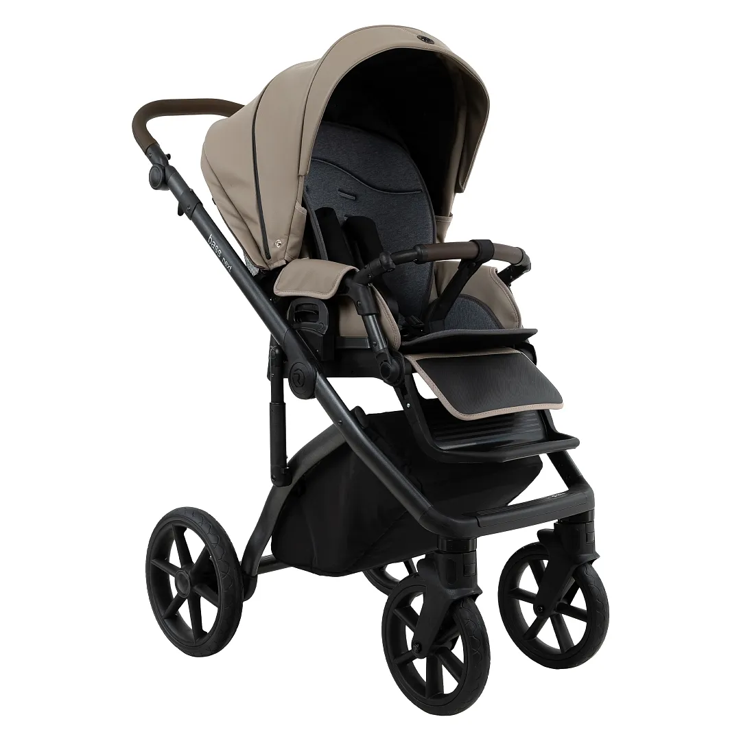 Коляска 2 в 1 Roan BASS Next 2.0 экокожа