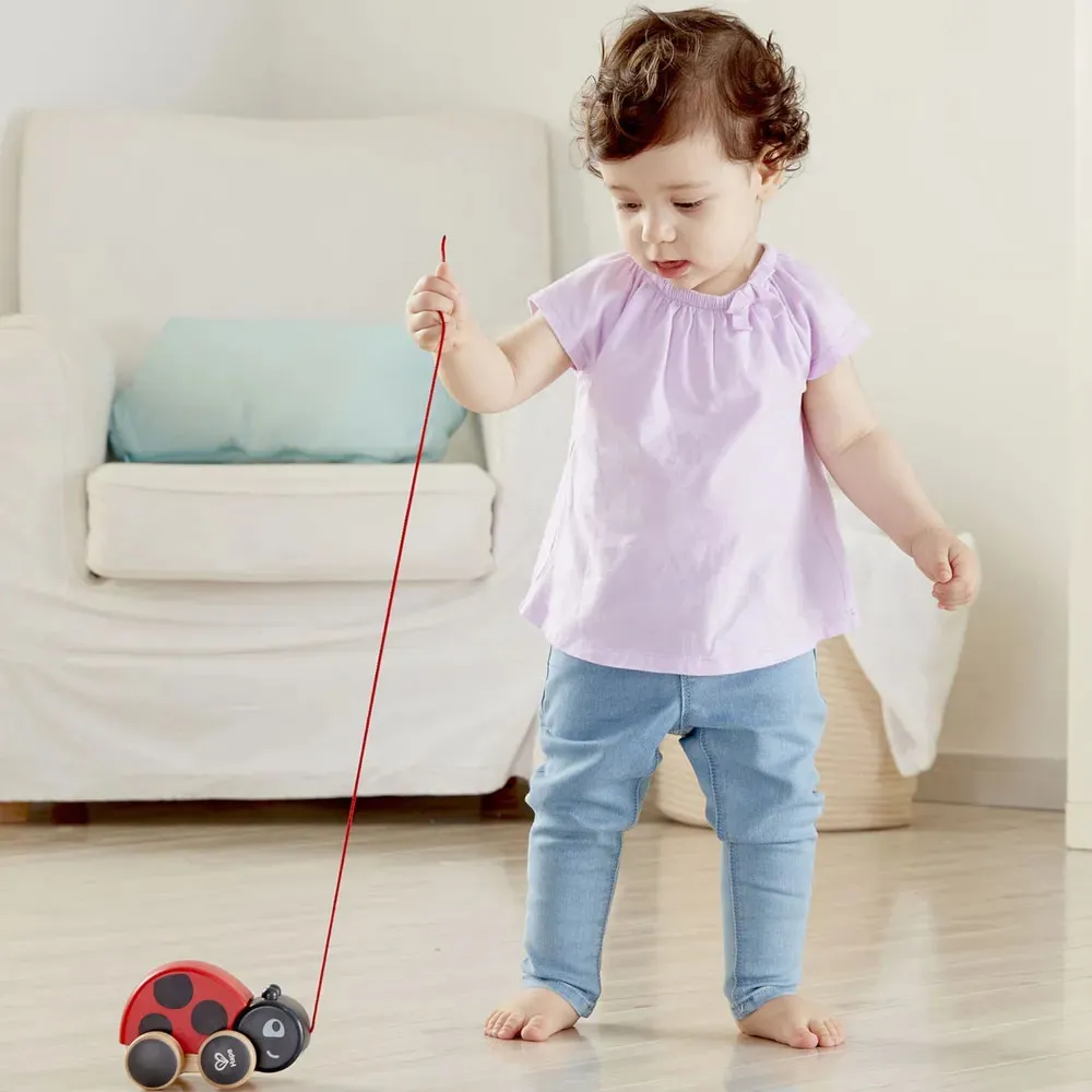 Игрушка-каталка HAPE «Божья коровка» E0362_HP