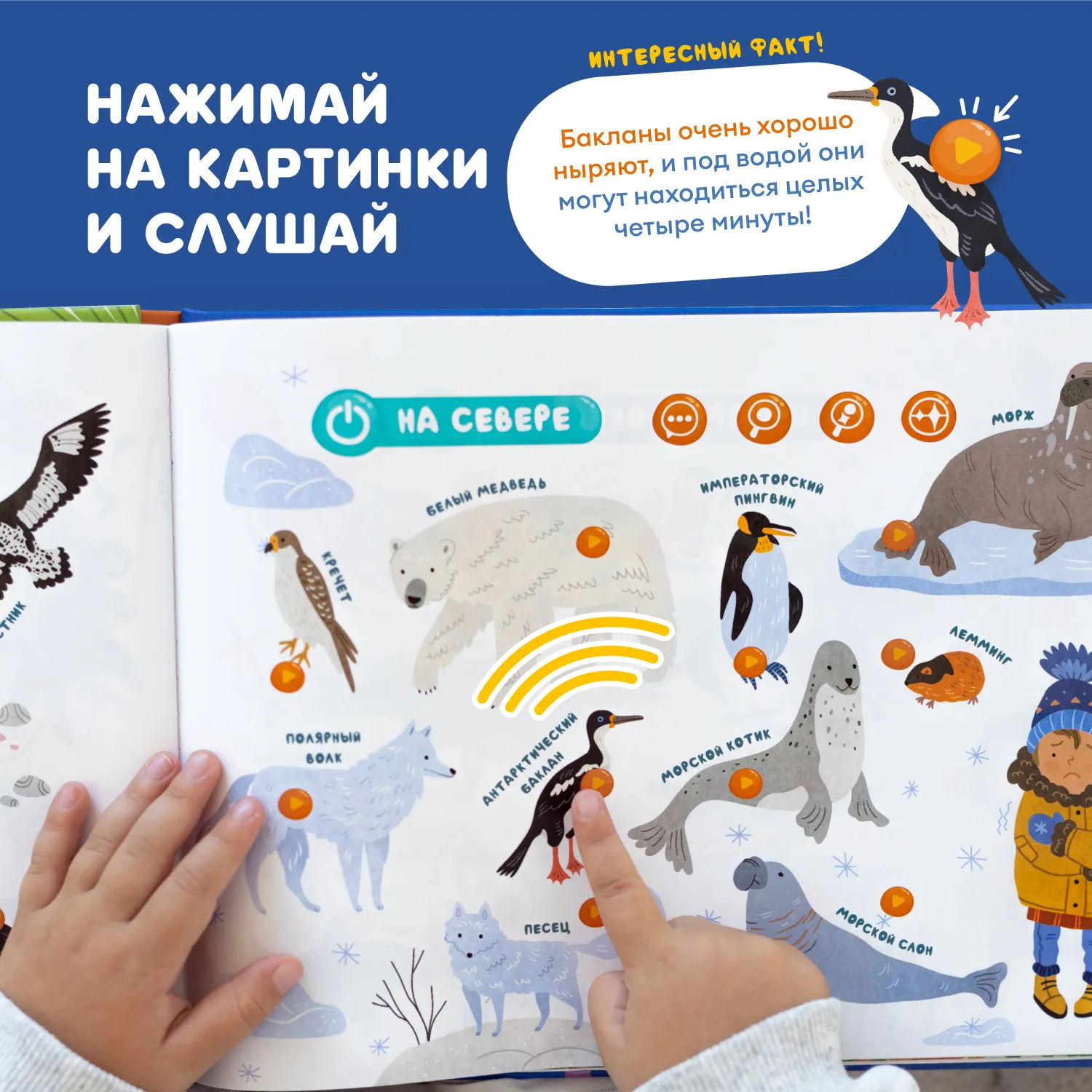 Книга интерактивная Abumba Fingerbook «Какие бывают животные» ABU-FING-02