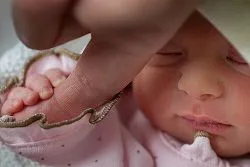 Правда ли, что пол ребенка можно спланировать? Правда ли, что пол ребенка можно спланировать?