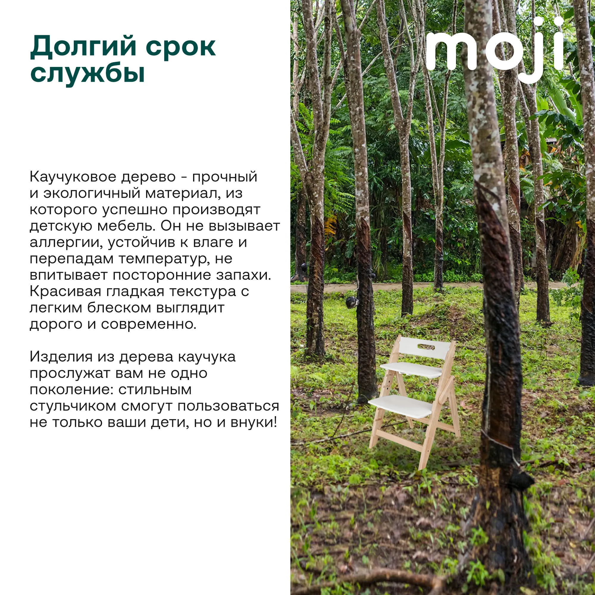 Растущий стульчик Moji by ABC-Design Yippy ВСЁ ВКЛЮЧЕНО cotton, текстиль birch