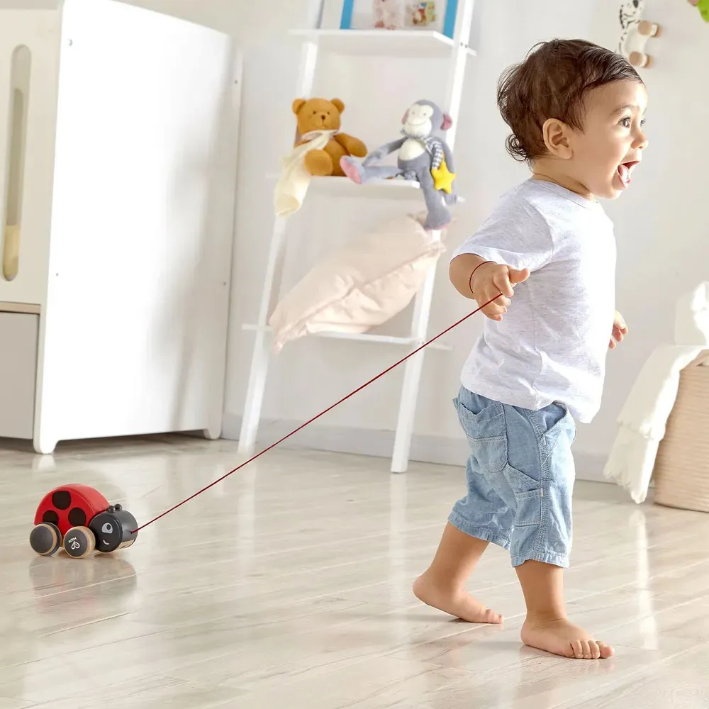 Игрушка-каталка HAPE «Божья коровка» E0362_HP