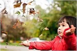 Развитие мелкой (тонкой) моторики рук