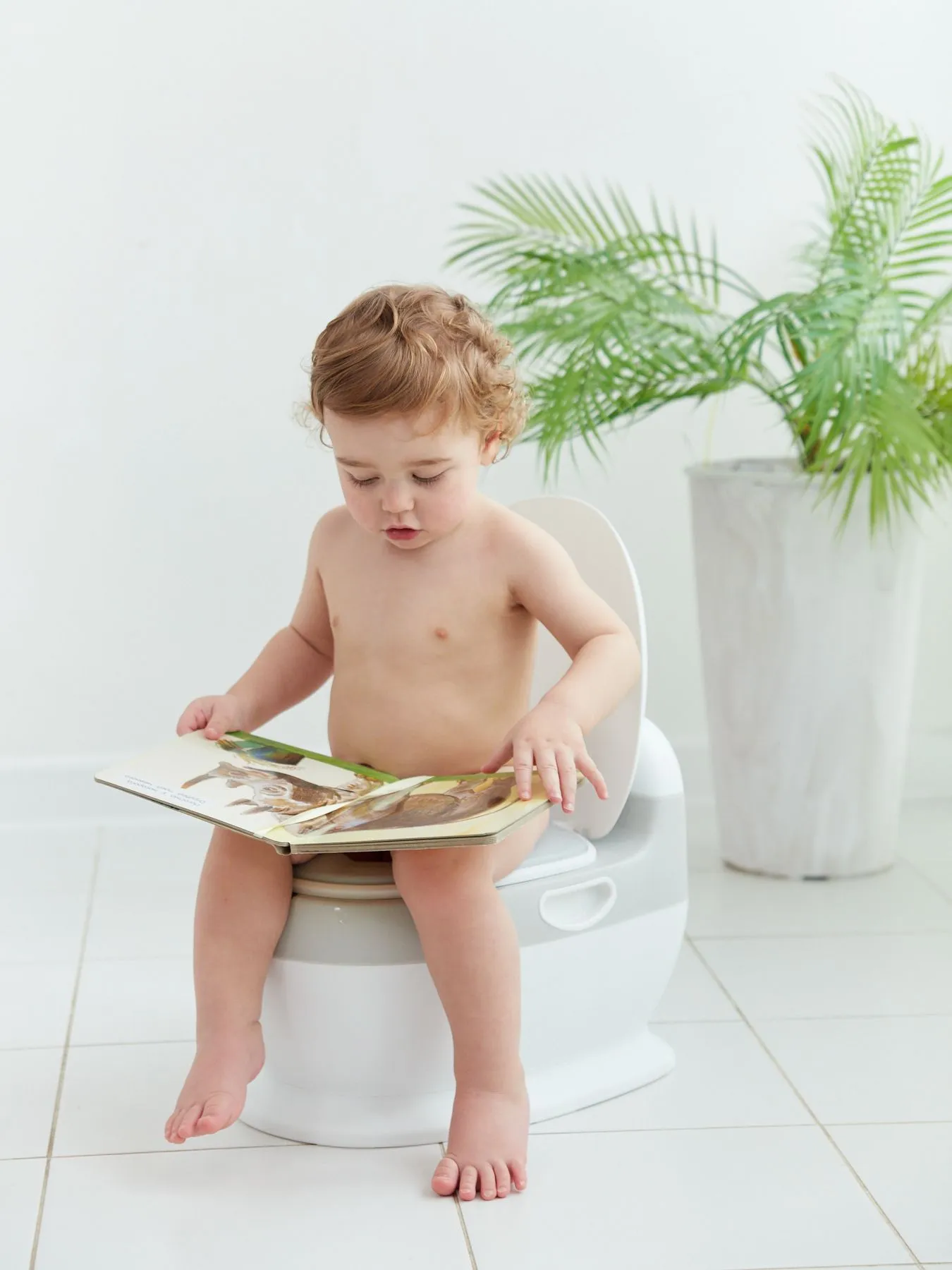 Горшок Happy Baby детский TOLLY в форме унитаза grey 34025