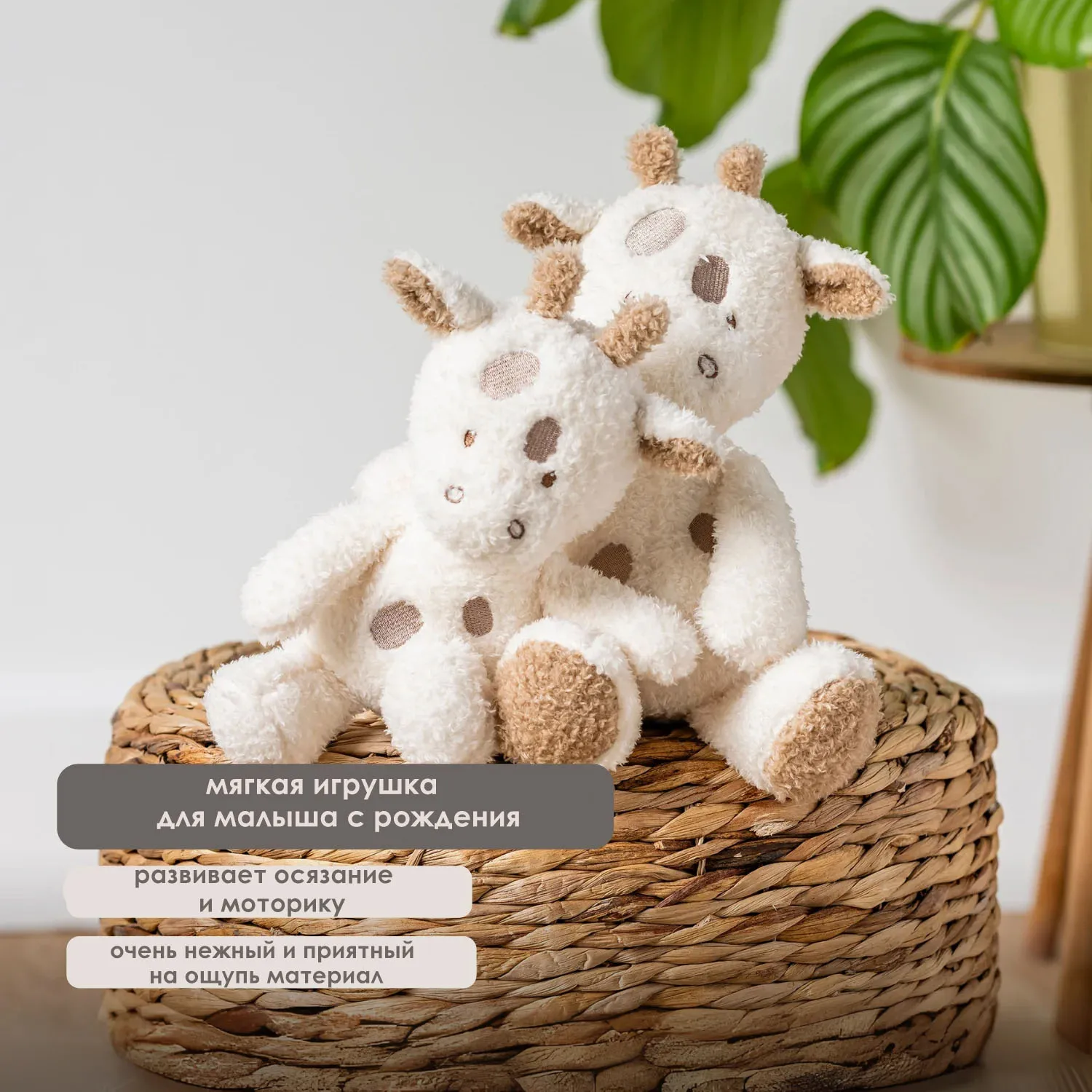 Игрушка мягкая Nattou Soft toy TEDDY Жираф 856355