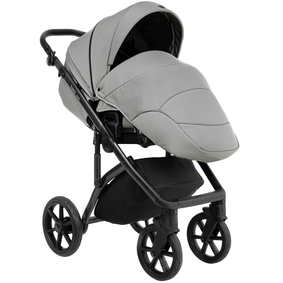 Коляска 2 в 1 Roan BASS Next 2.0